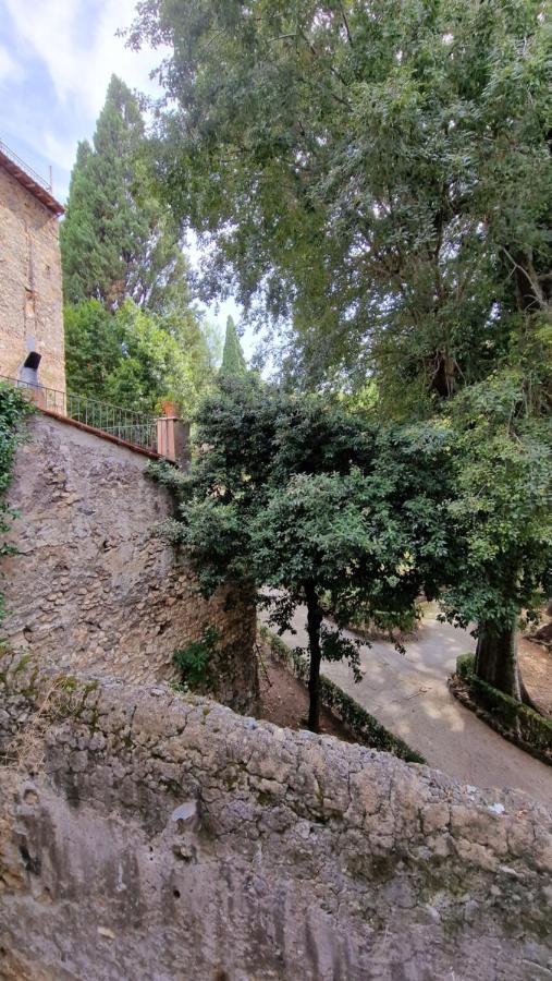 Apartment Vicolo D'este *