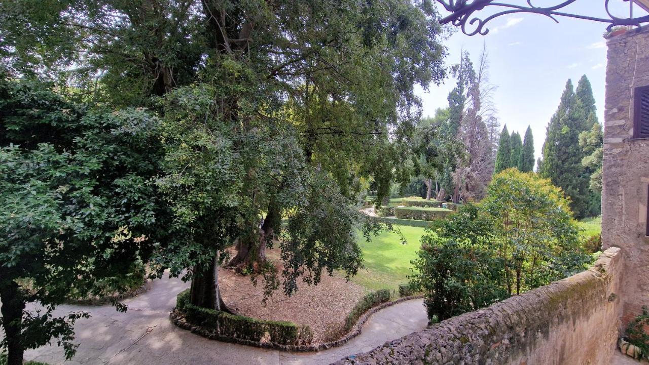 Apartment Vicolo D'este *