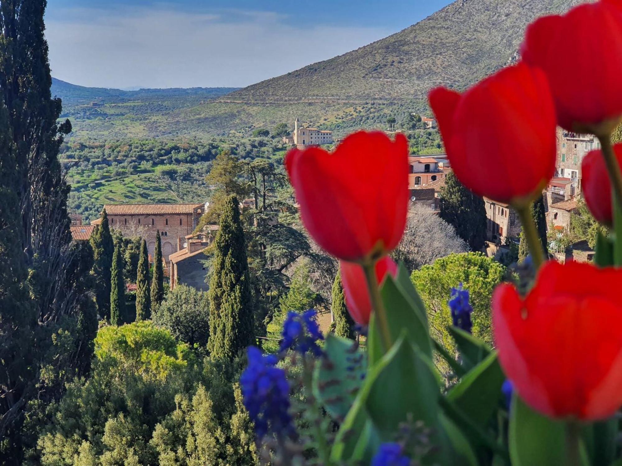 Vicolo D'este