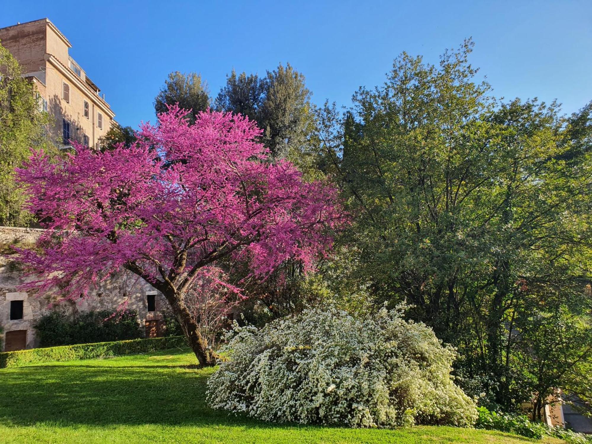 Vicolo D'este *