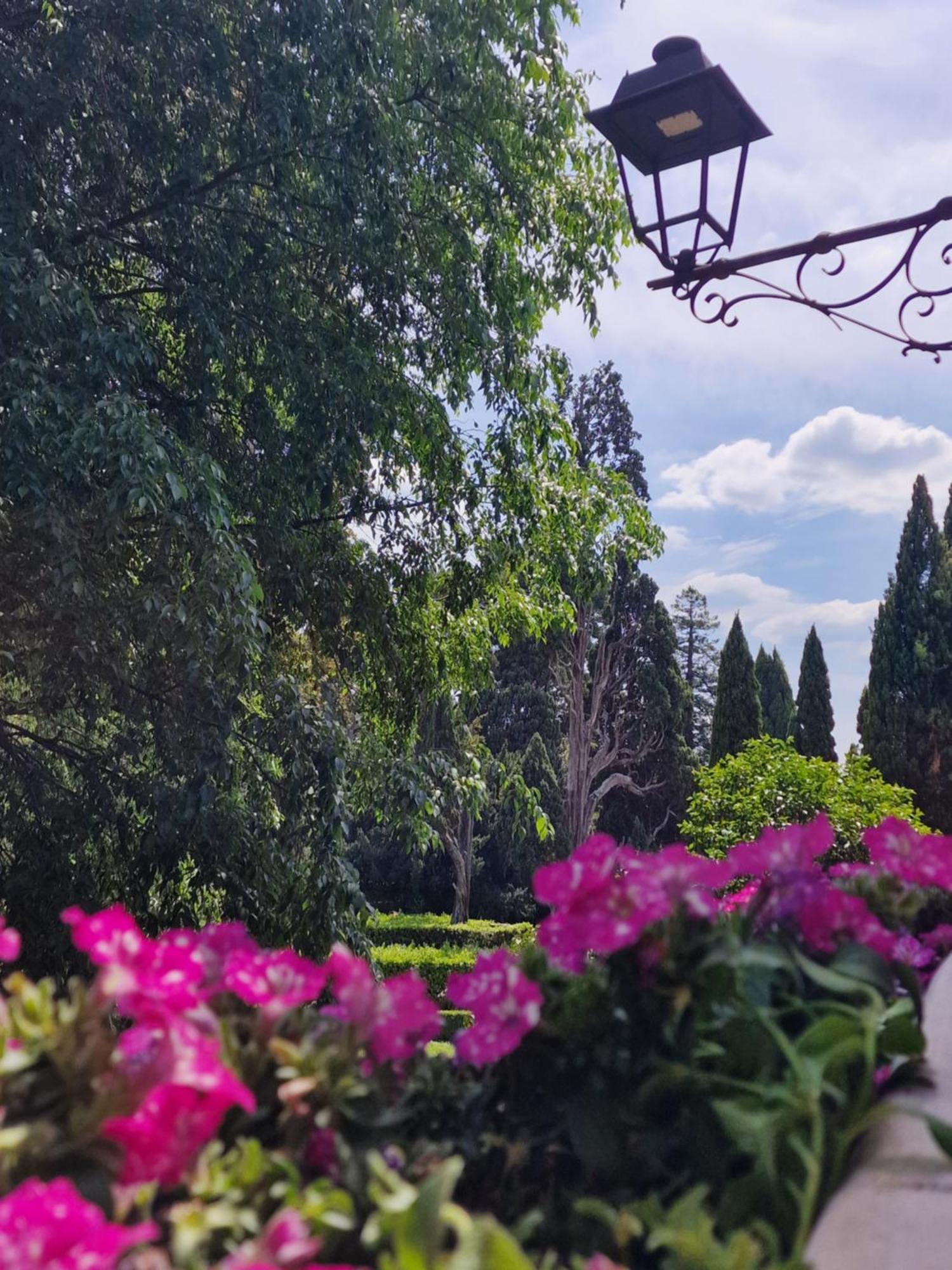 Vicolo D'este *
